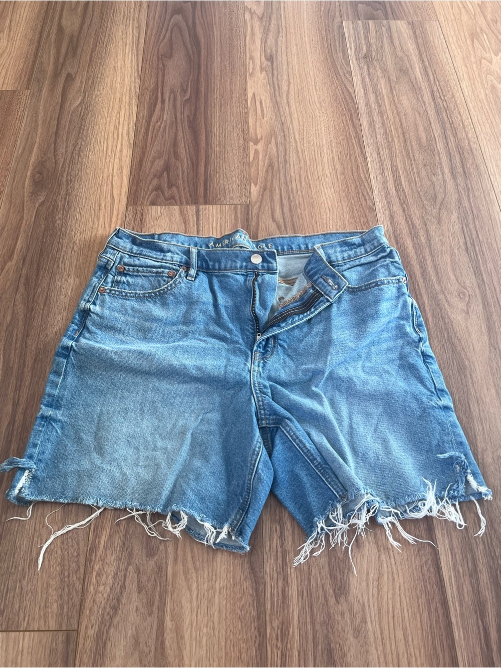 American Eagle Outfitters Light Blue Distressed Denim Cutoff Shorts